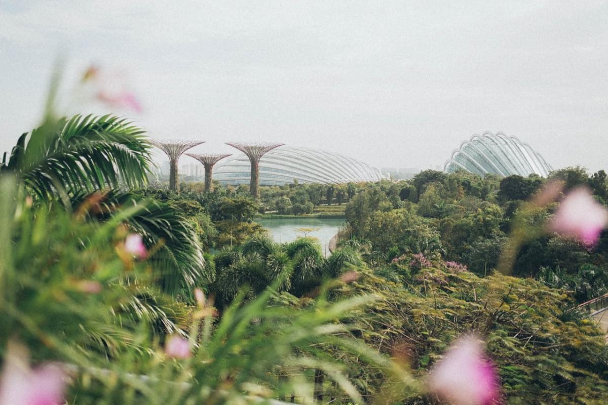 gardens by the bay singapore gardens