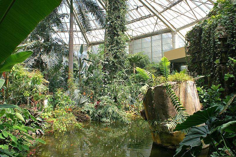 Tropical greenhouse at Parc Phoenix Nice