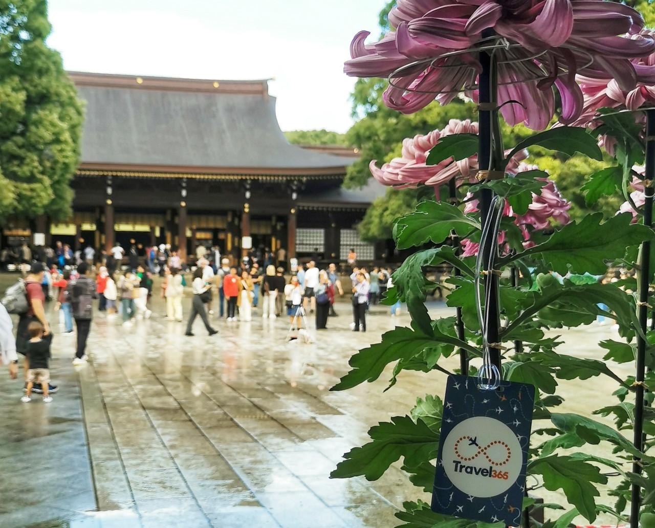 Meiji Shrine