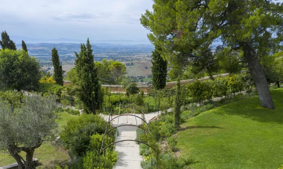 Garden on the Hill of Infinity