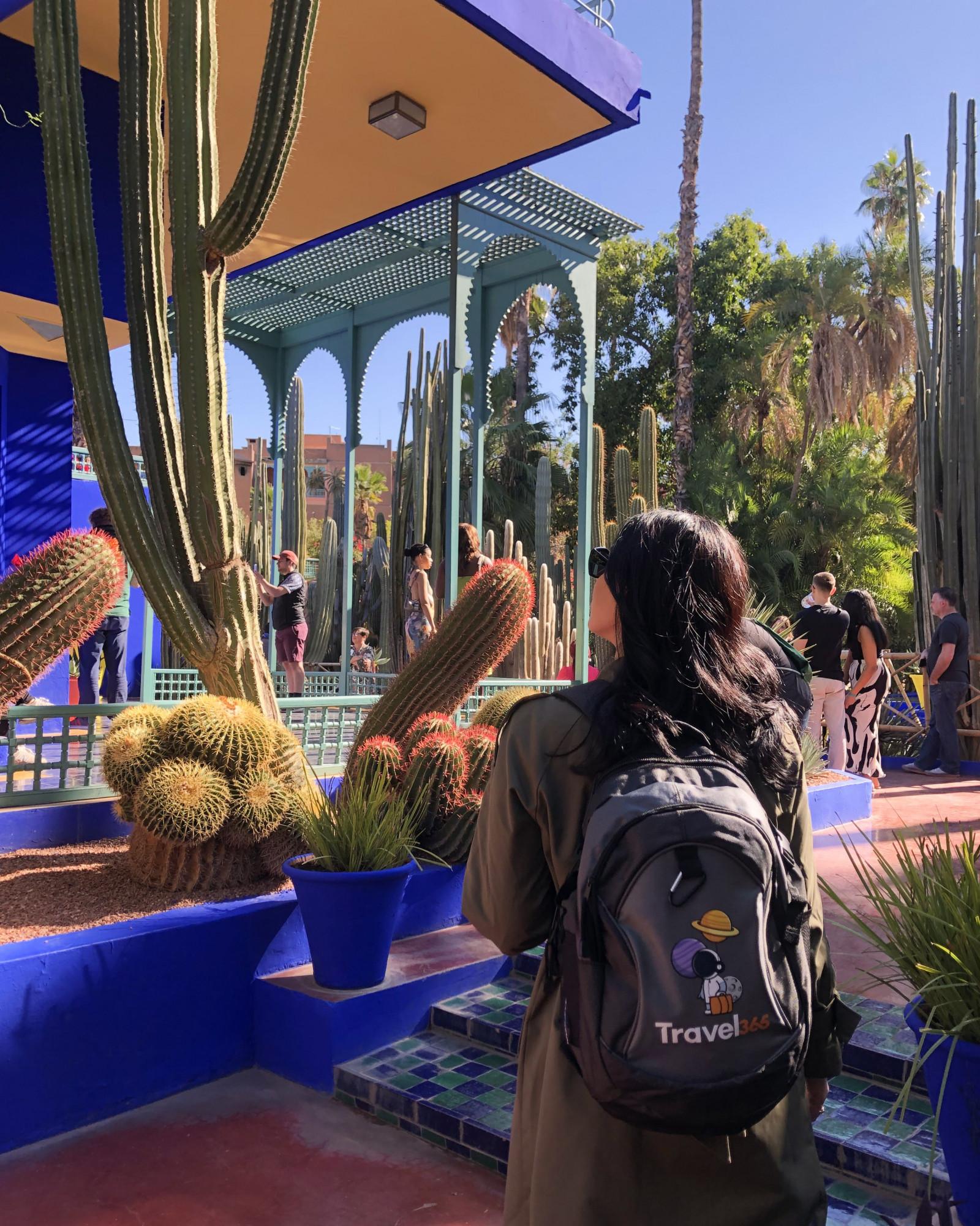 jardin majorelle
