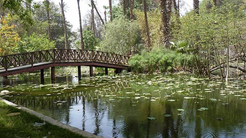 orman garden lotus pond photo