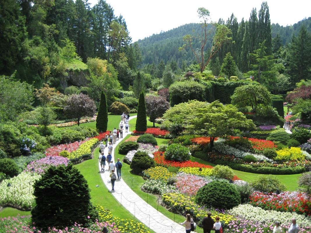 butchart gardens flowers plants