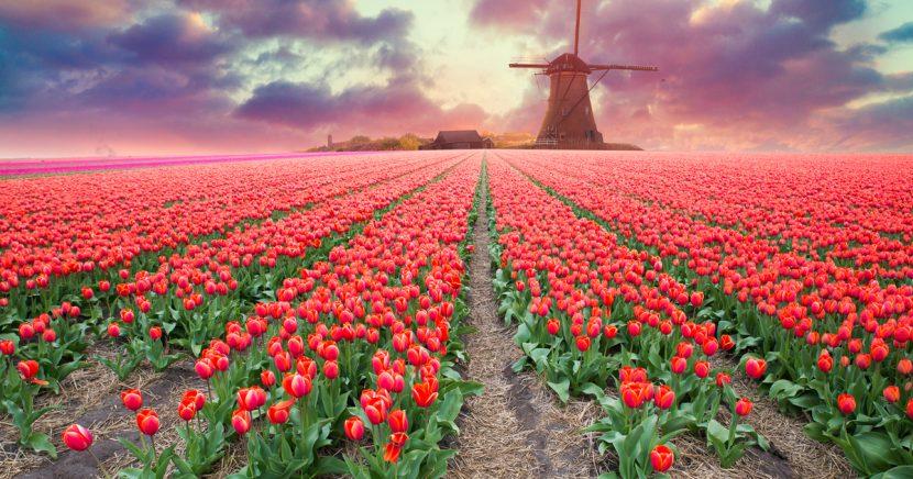 Holland What to See: Most Beautiful Countries with Map